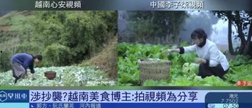 越南爆料博主视频播放,视频播放背后的惊人真相